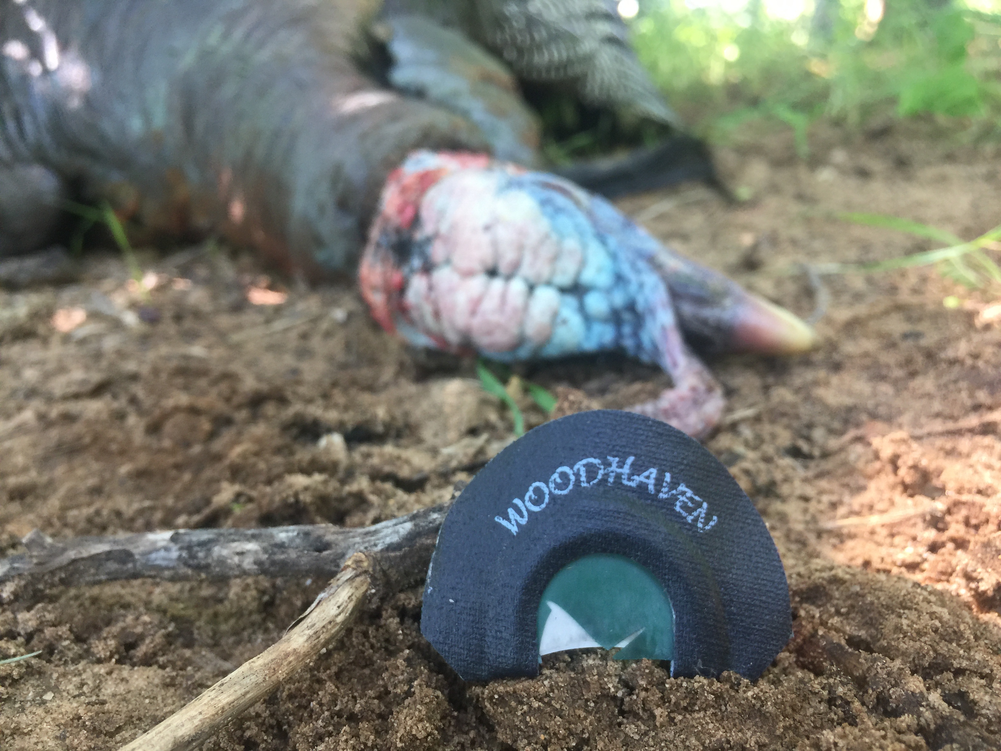 5 Keys To Being Prepared For Turkey Hunting Season WoodHaven Custom Calls Best Turkey Calls in America